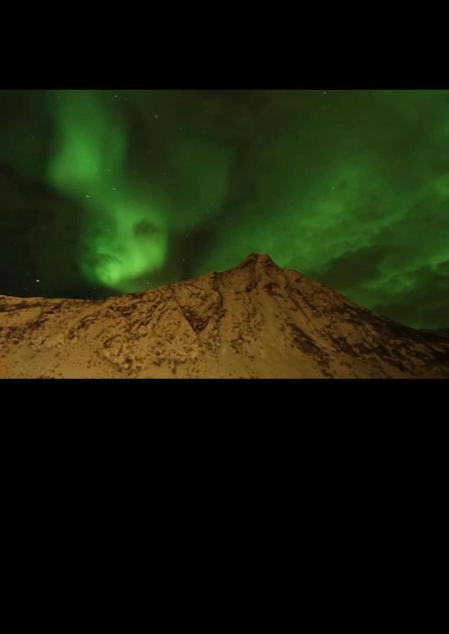 Senja Villa Gryllefjord Eksteriør billede
